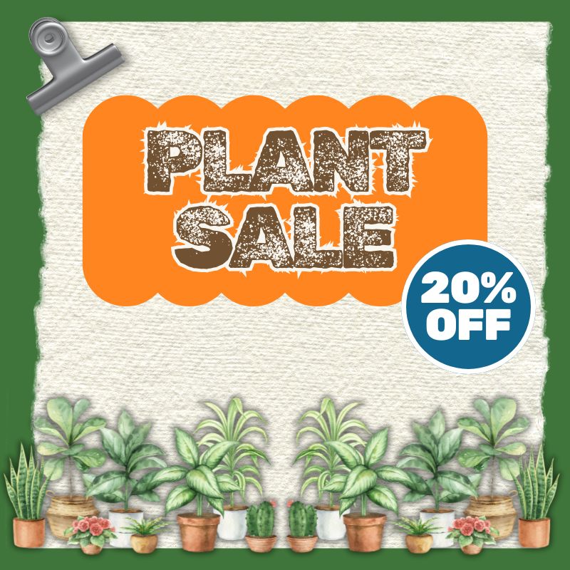 Plant_Sale_Artwork_Goodman_Building_Supply